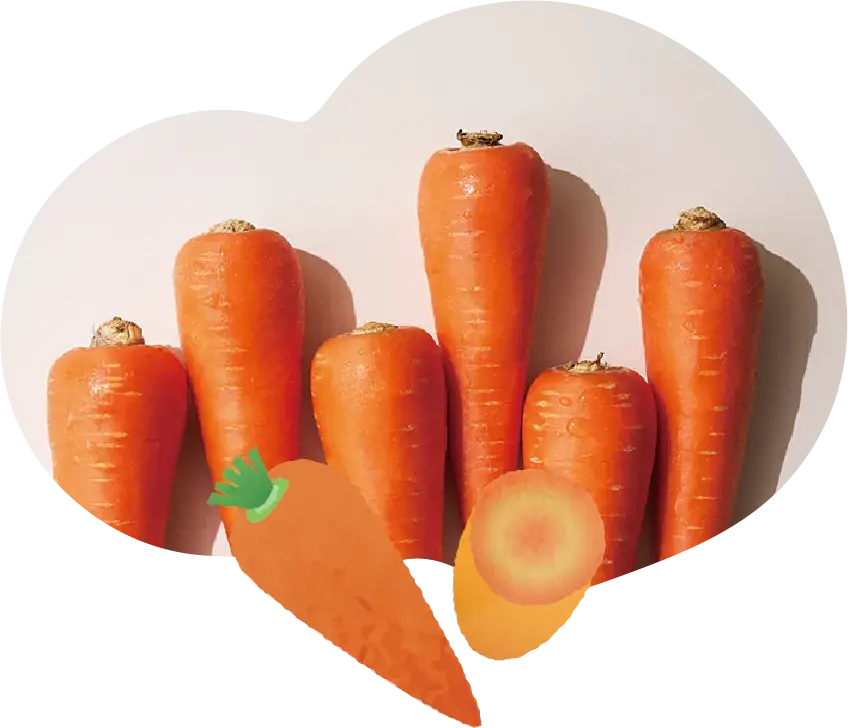 Carrot Img 2