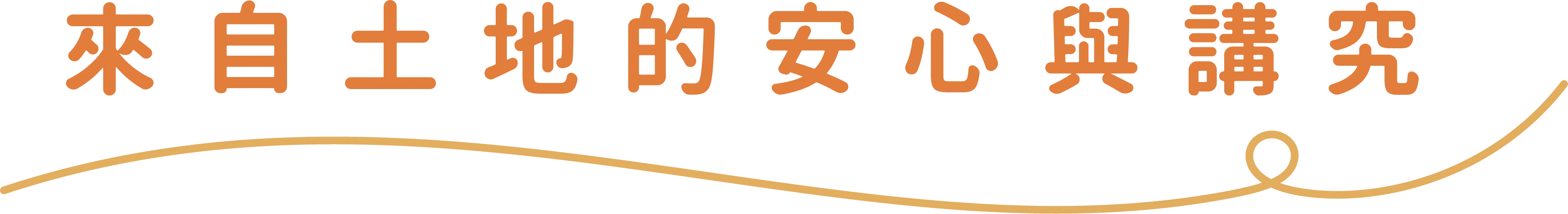 Product Title