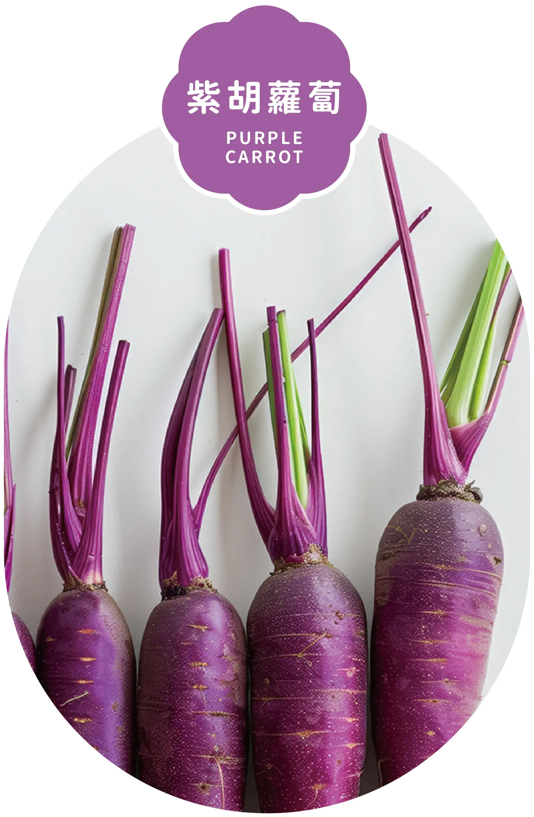 Purple Carrot